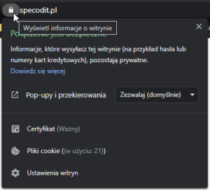 Czy potrzebny mi SSL?
