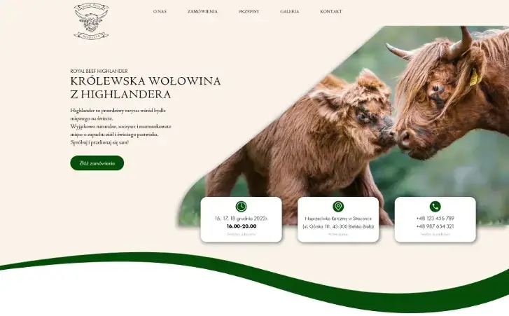 Projektowanie stron internetowych – trendy 2023