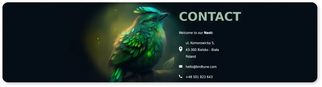 portfolio-image